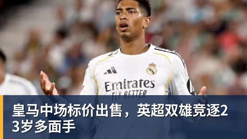 罗马诺：纽卡接近签下阿贾克斯18岁中场斯图尔，总价超2500万欧 - 尊龙官方网站 · 权威体育数据平台
